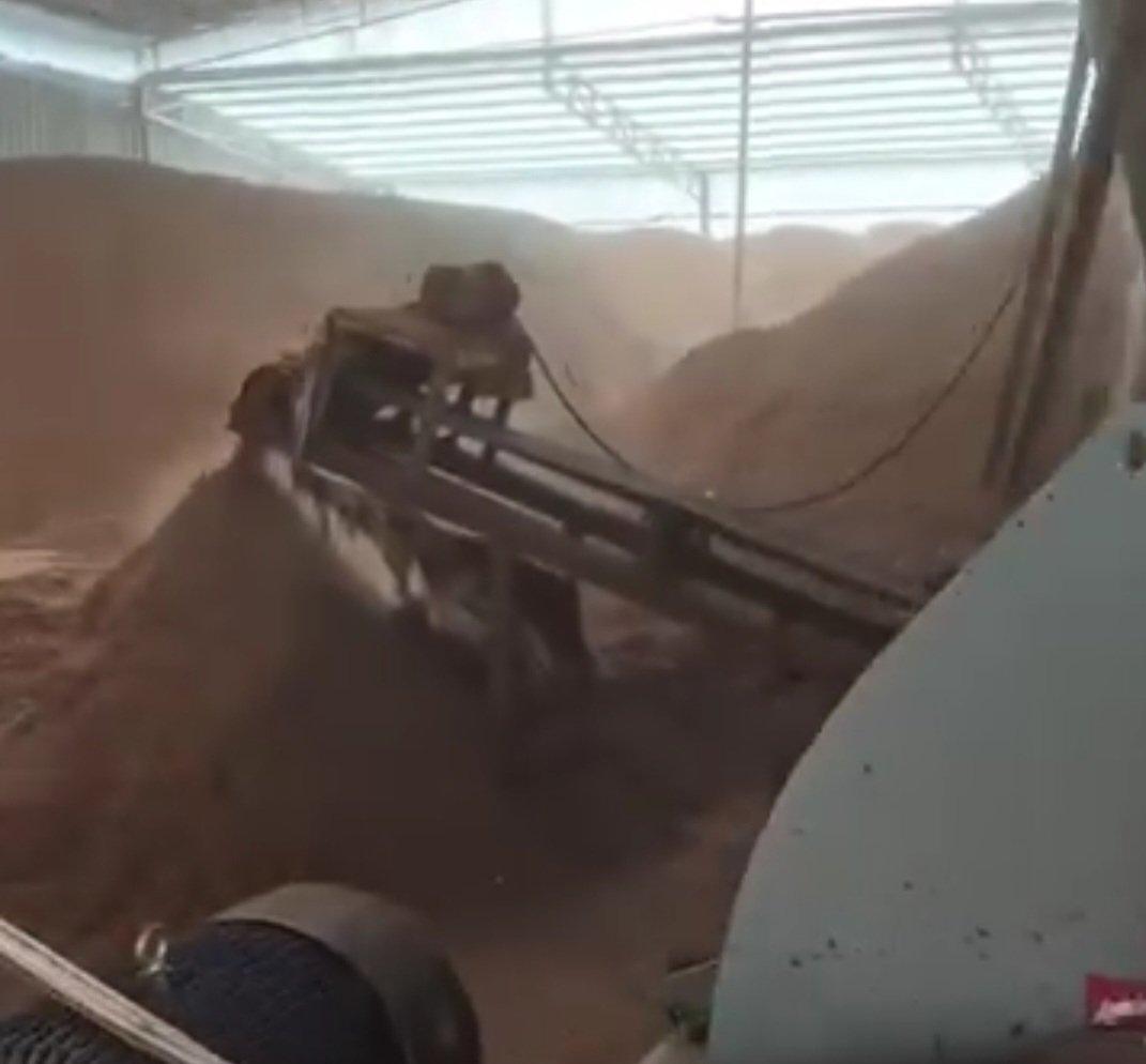 Wood Powder