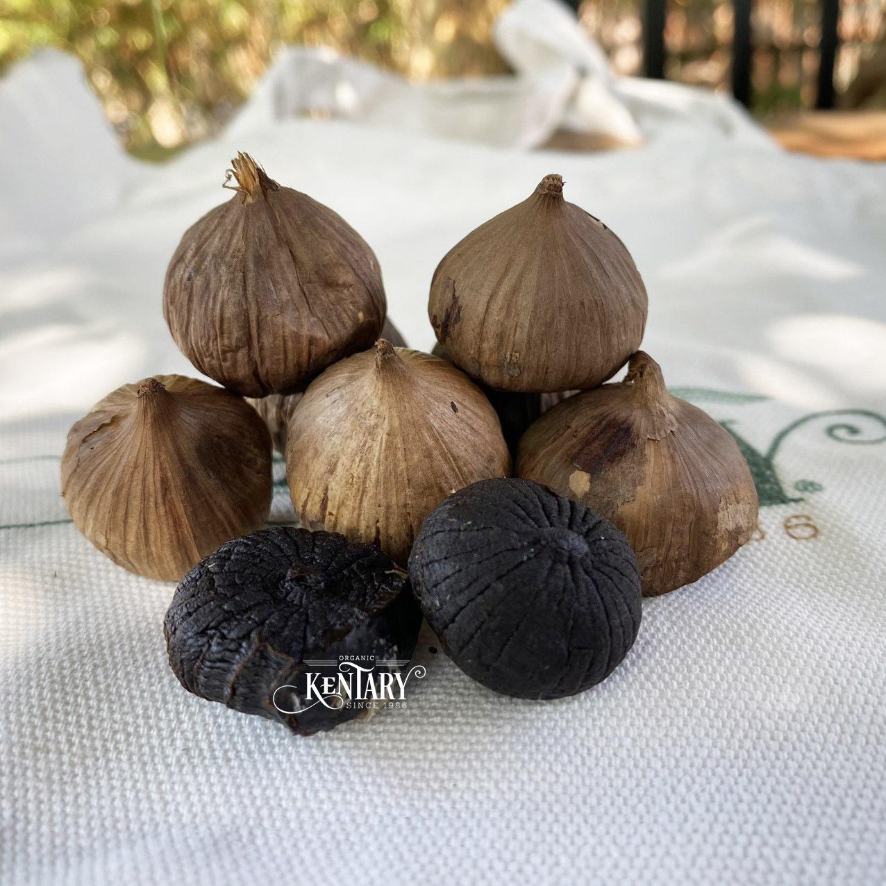 Kentary Solo Black Garlic