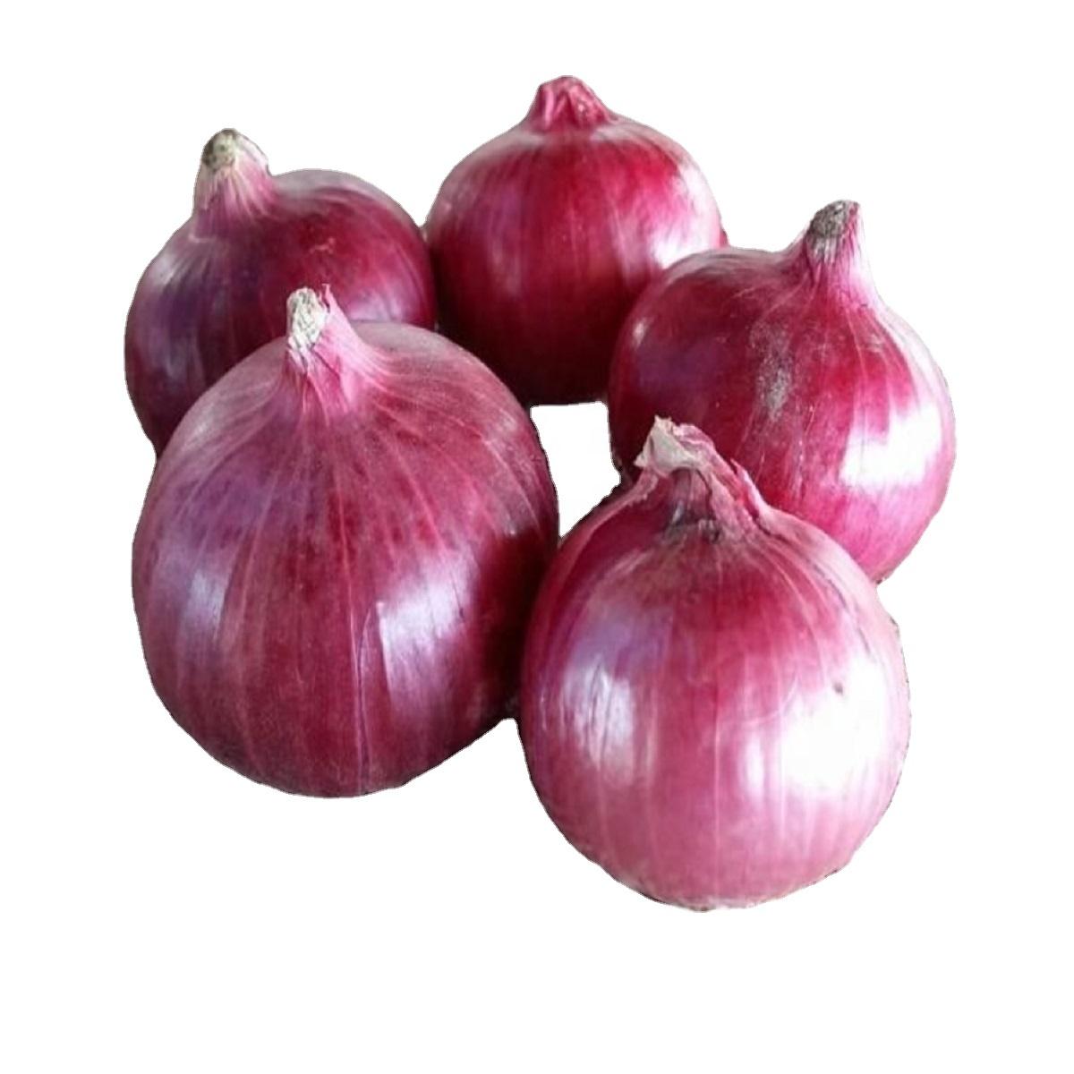 Premium Quality Wholesale White Onion Powder for Food Processing, Seasoning Blends, Sauces, Snacks, Marinades, and Industrial Applications – Pure Dehydrated Onion Powder with Strong Aroma, Fine Texture, Long Shelf Life, Hygienically Processed, Available in Bulk Packaging with Private Label and Worldwide Export Supply Services
