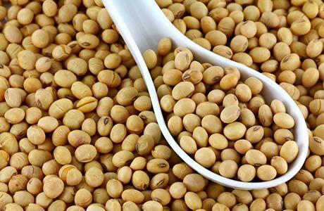 Discover the Top 5 Soybean suppliers in Thailand - 8