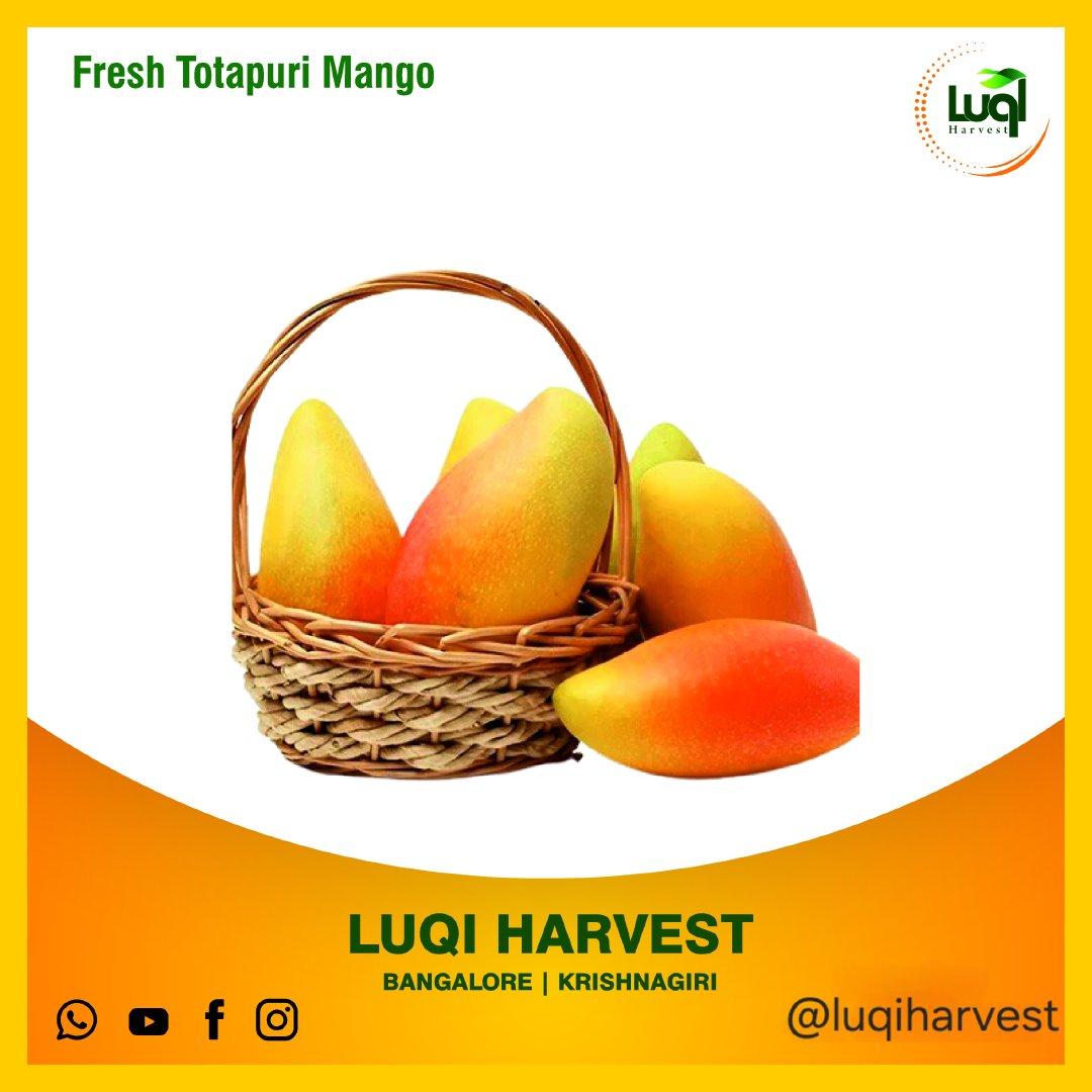 Alphonso Mango