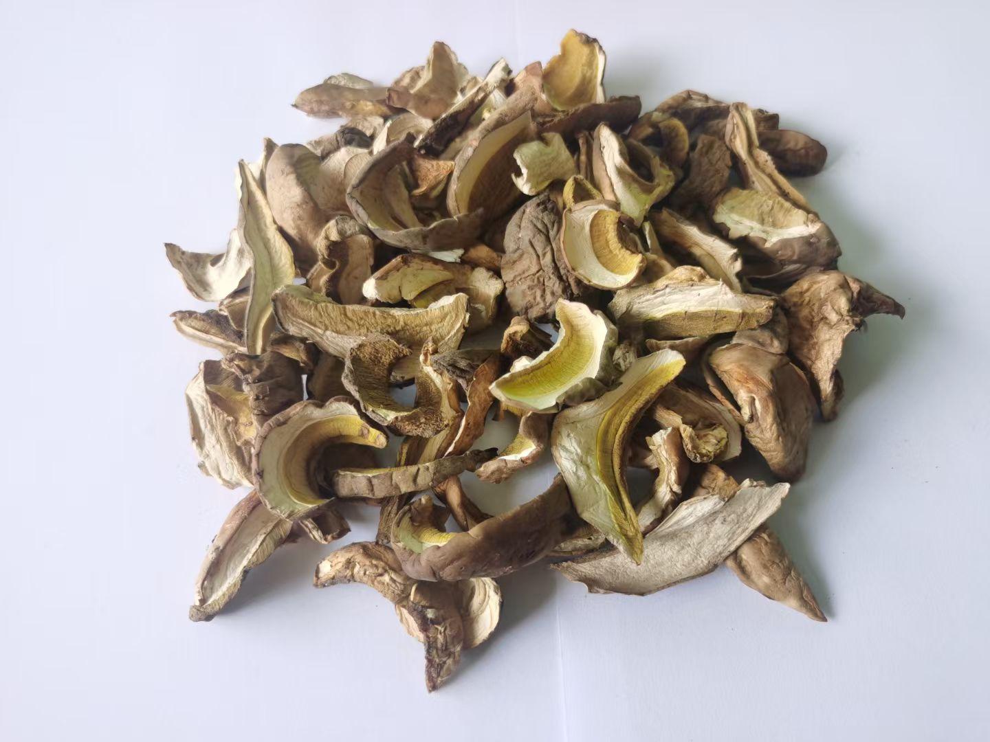 Porcini Mushrooms