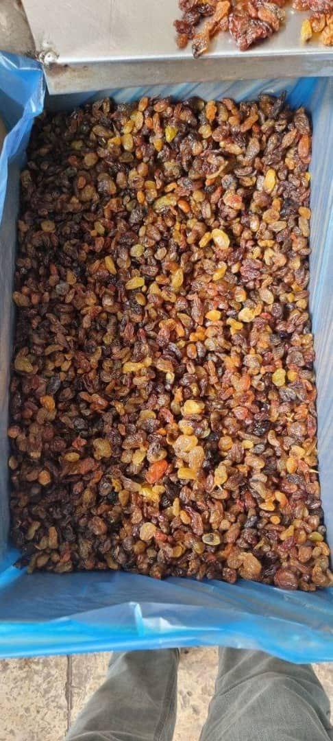 Raisin Varieties