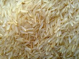 Cooked Biryani with 1121 Sella Rice