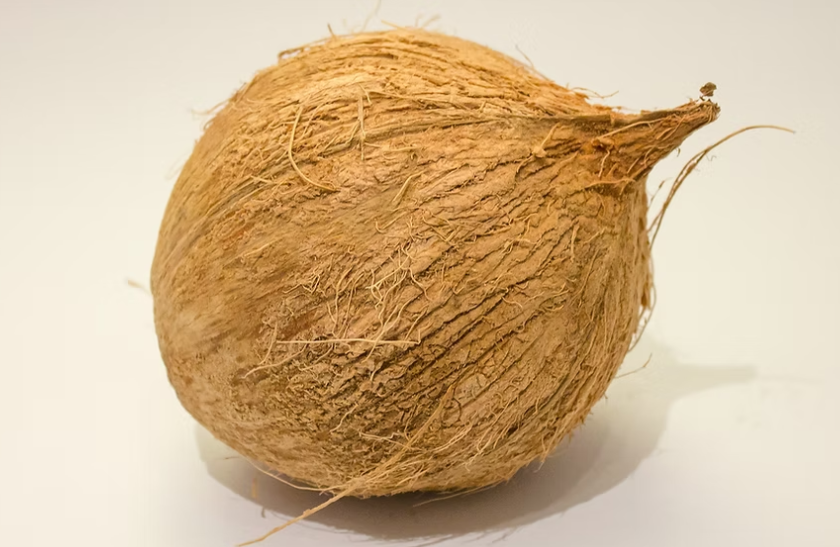 Dehusked Coconut 1