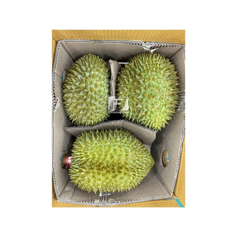 Frozen Fruit From Vietnam Frozen Durian Best Export From Sweet Taste Year Round Season Vietnam 24 months Shell Life