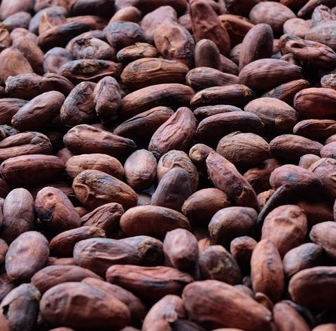 Cocoa Products