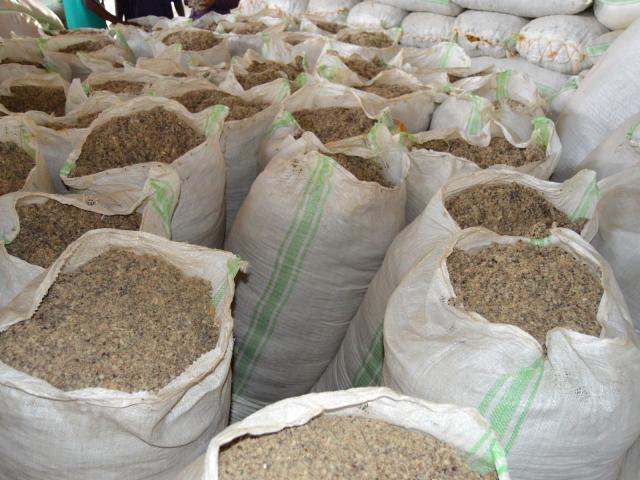 Cotton Seed Hull Image 1