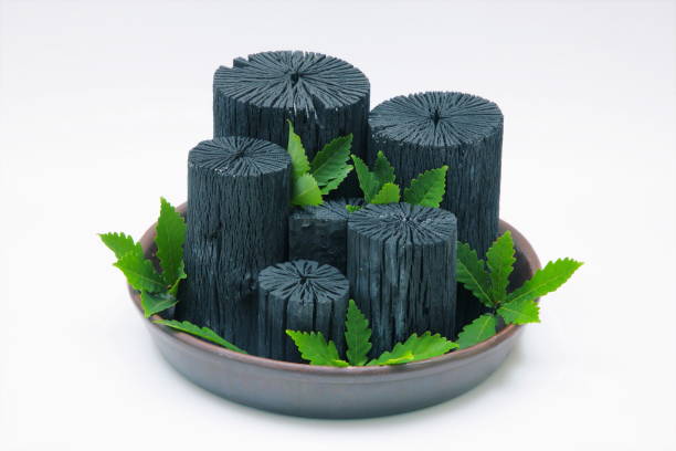 Top 3 Charcoal Suppliers in France in Year 2025: Market Insights, Export Data & Supplier Rankings