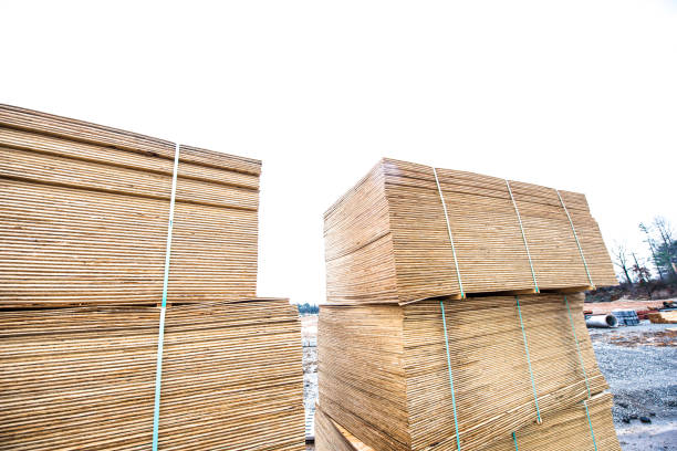 Plywood in Flux: Top 7 Plywood Suppliers in Ukraine in Quarter 3 of 2025