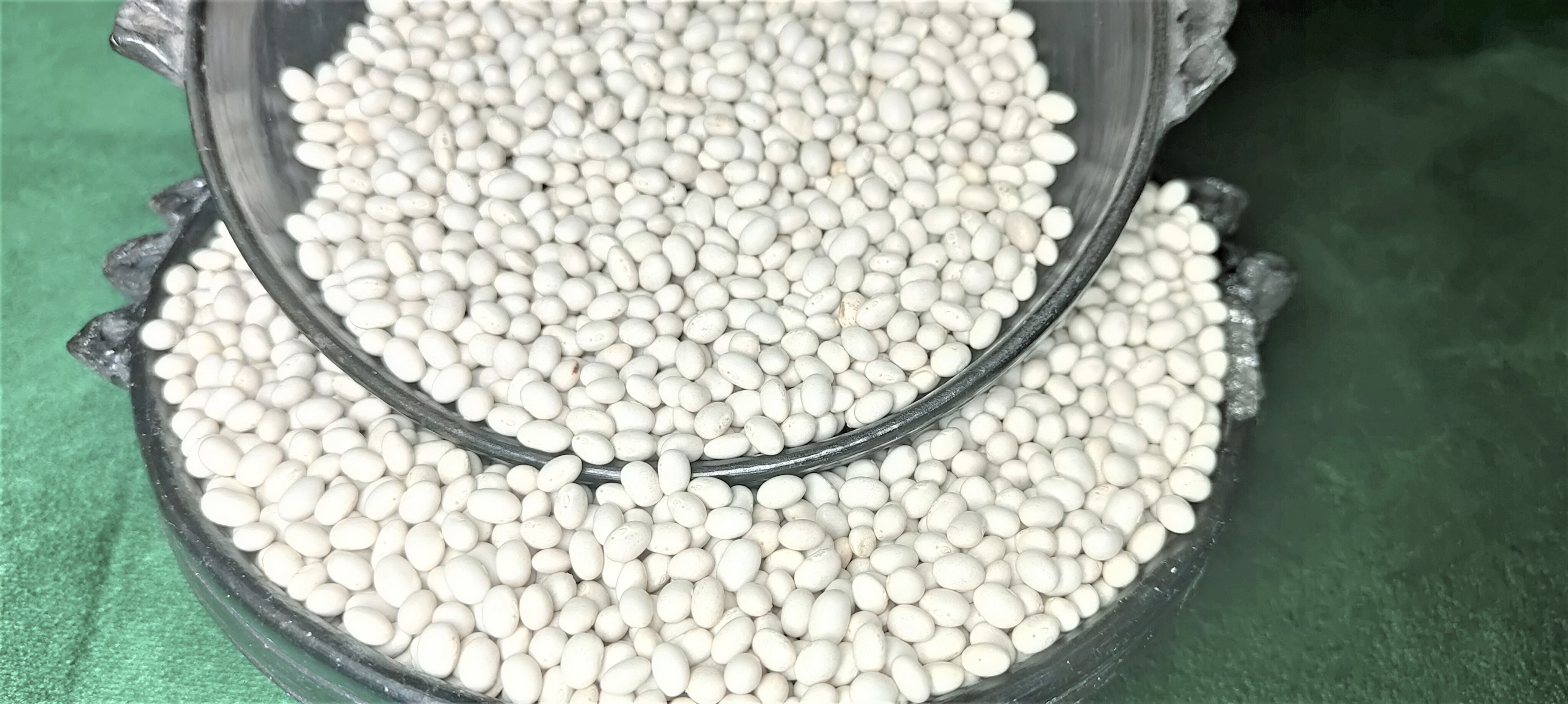 Ethiopian Origin New Crop 2024 White Pea Beans Wholesale Dried Handpicked and Polished Bulk Quality Kidney beans.