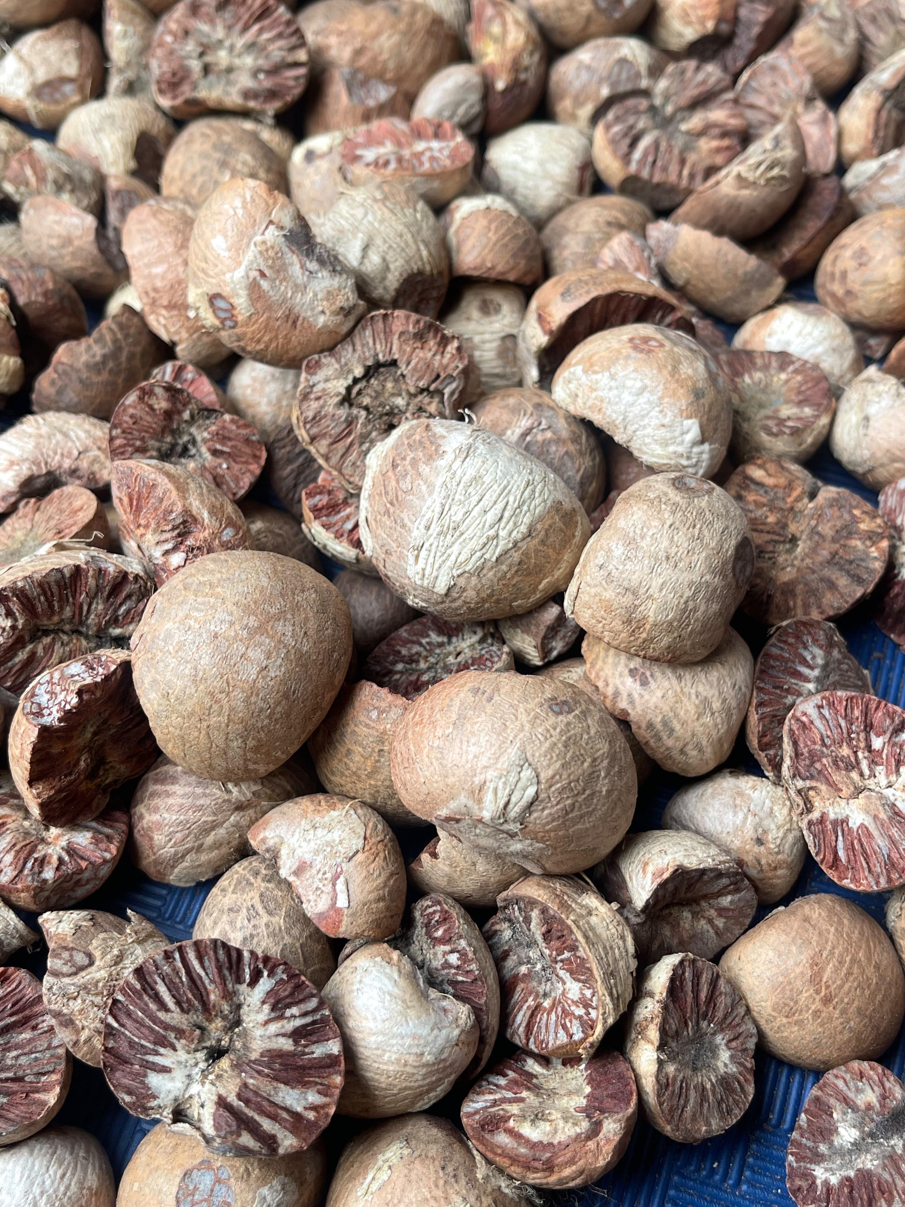 BETEL NUT SPLIT ARECA NUT – product photo, product description