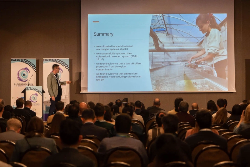 Inside AlgaEurope Conference: B2B Key Insights - 3