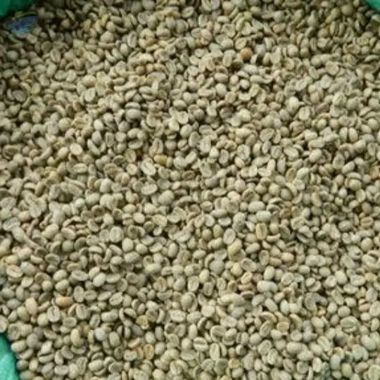 Discover the Top 7 Arabica Coffee suppliers in Kenya - 6