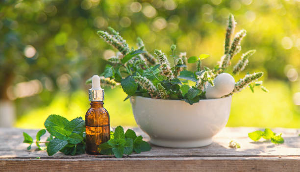 Your Expert Guide to Procuring Top-Tier Herbal Extract: Top 5 Herbal Extract Suppliers in Poland in Year 2025