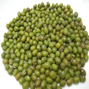 Green Mung Beans 3
