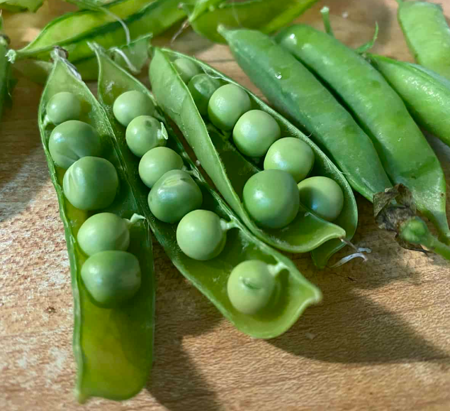 Pigeon Pea Split, Toor Dal, Yellow Split Lentils suppliers