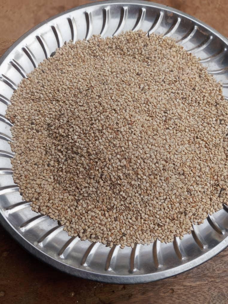Sesame Export Packaging