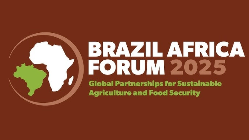 Discover Brazil Africa Forum: B2B Event Guide