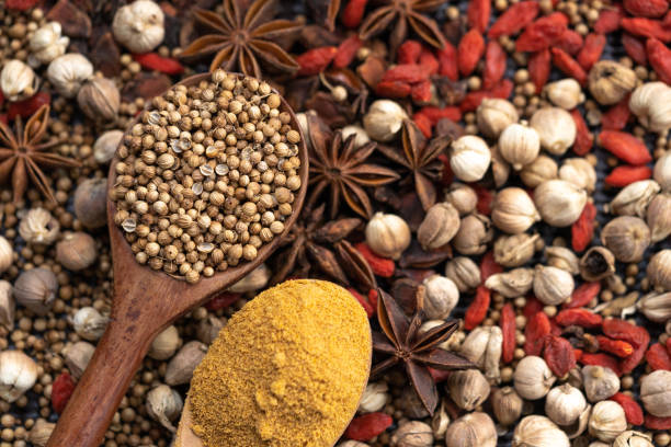 Top 9 Spices Suppliers in Canada in Quarter 3 of 2025