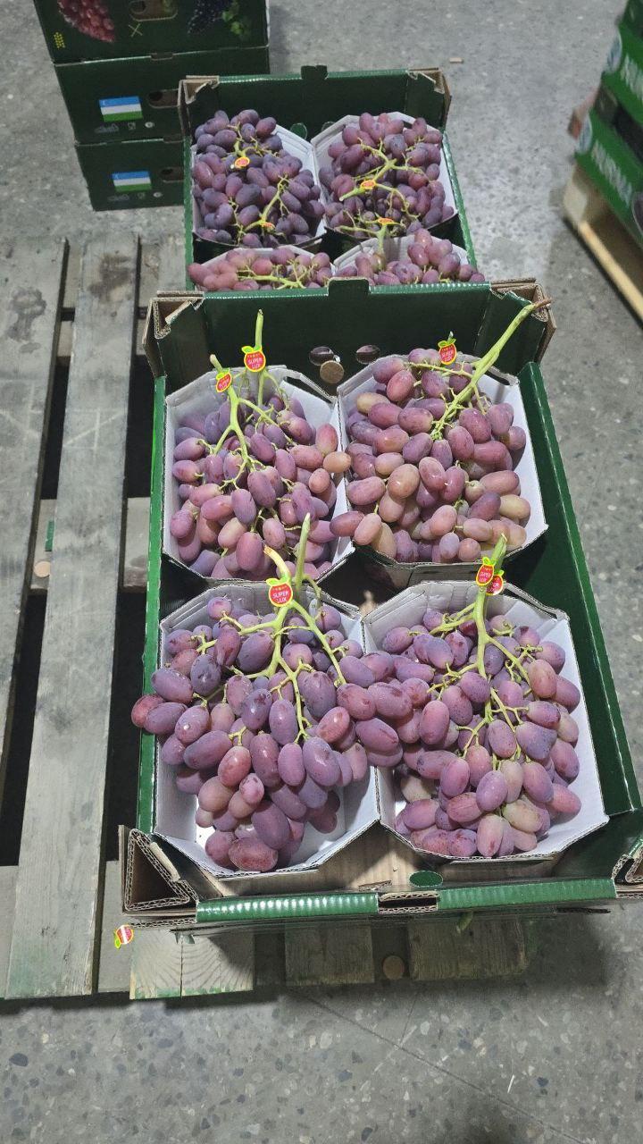 Fresh Grape Product 4