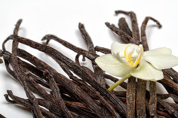 Your Expert Guide to Procuring Top-Tier Vanilla: Top 6 Vanilla Suppliers in Spain in Year 2025