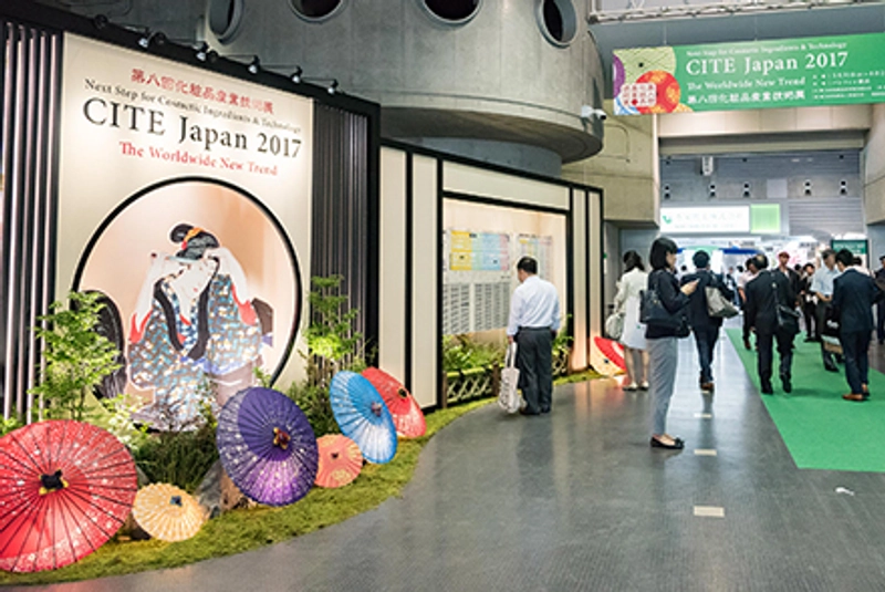 Cite Japan Revealed: B2B Opportunity - 3
