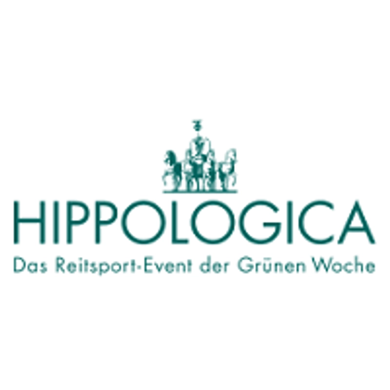 Why Hippologica Matters for B2B