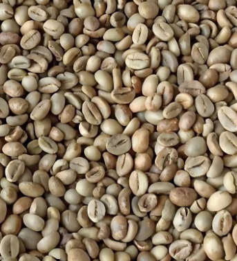 Indonesian Robusta Coffee