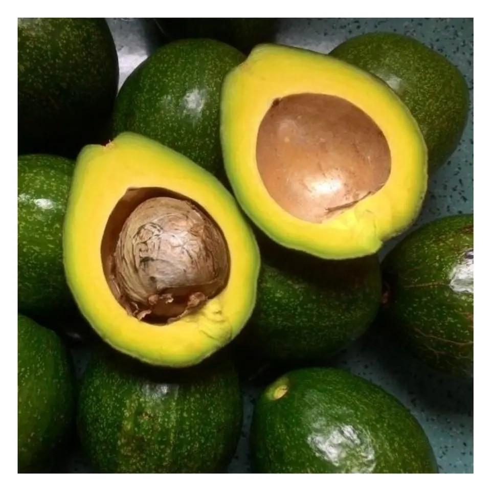 0b22f89126394e9aa901cdd8c2effe9c