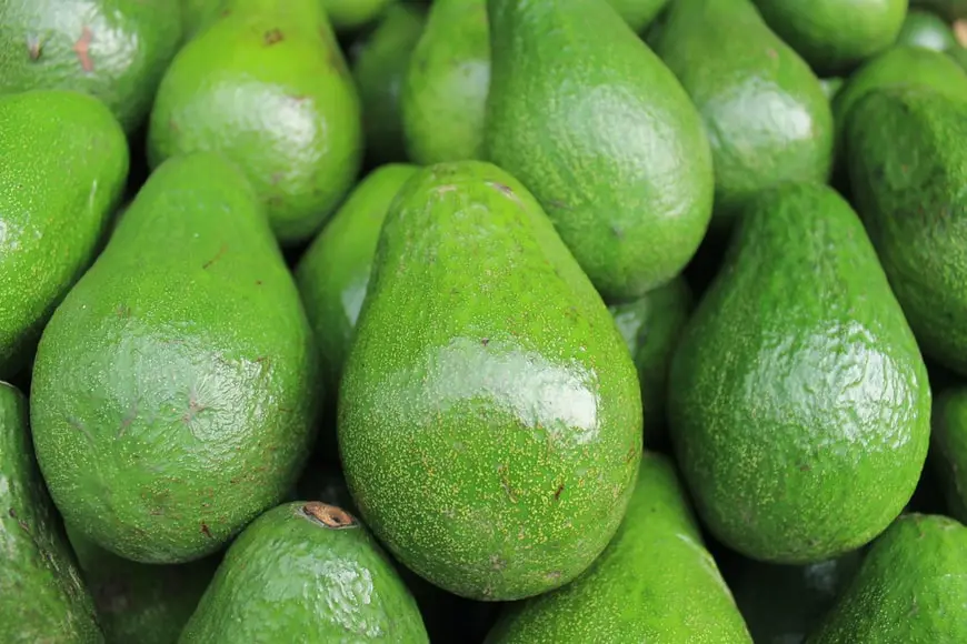 Fresh Avocado / Hass Avocado/Fuerte Avocado Fruit Texture Creamy Origin Thailand Fat Content 26% Protein Content 2.1% Mi