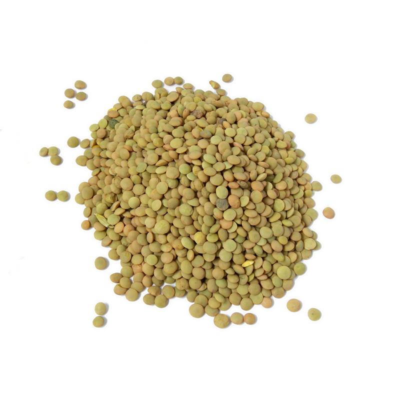 Red Lentils 1