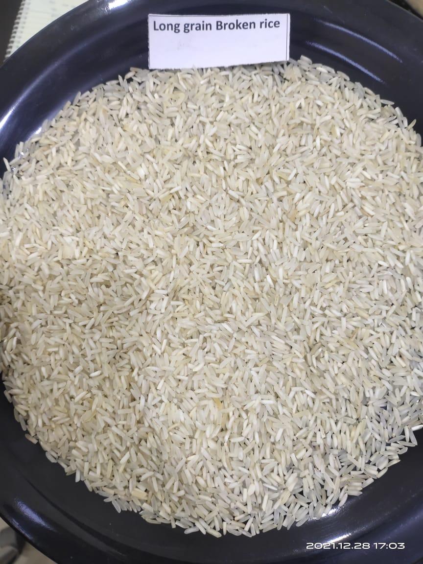 Rice
