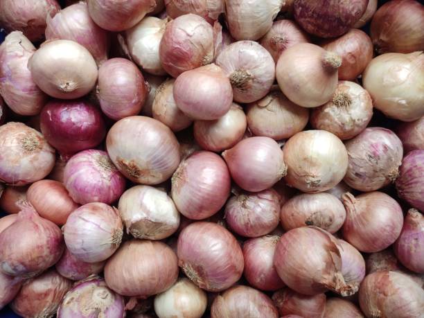 Top 8 Fresh Onion Suppliers in Turkey in Quarter 3 of 2025