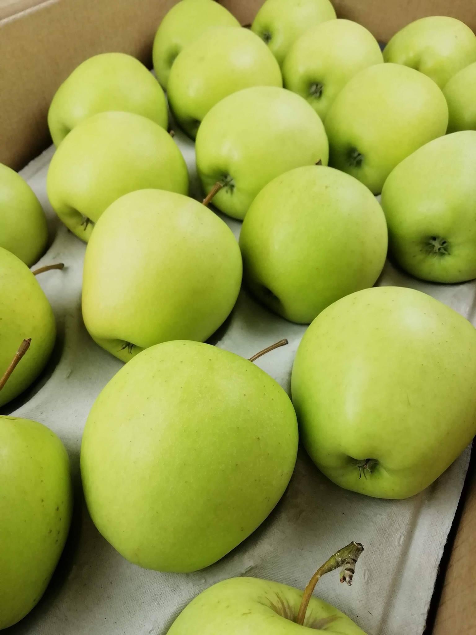 Fresh Gala Apple / Fuji Apples Supplier Organic Yes Origin South Africa Variety Gala, Jonagold, Topaz