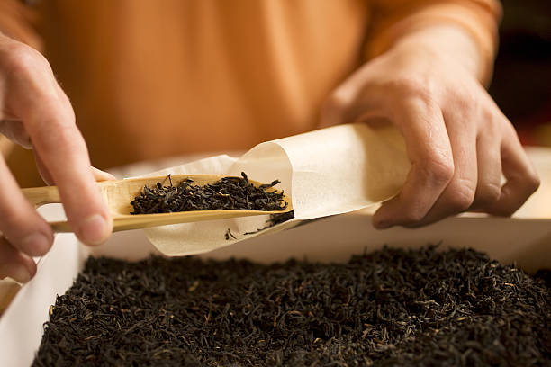 Your Expert Guide to Procuring Top-Tier Black Tea: Top 8 Black Tea Suppliers in Kenya in Year 2025