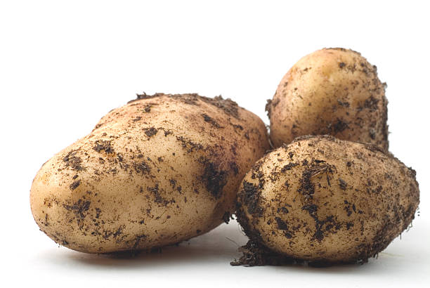 Your Expert Guide to Procuring Top-Tier Fresh Potato: Top 3 Fresh Potato Suppliers in Bangladesh in July 2025