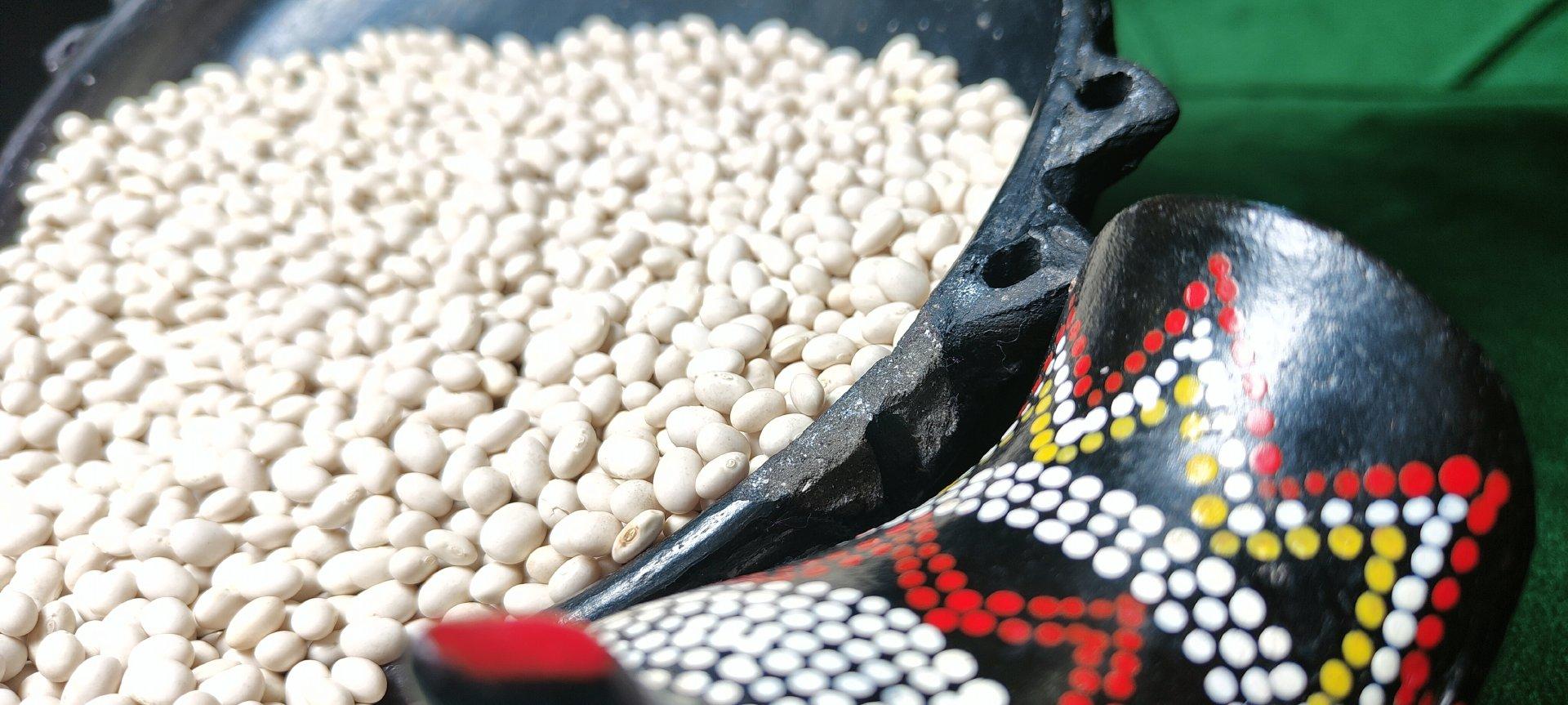 2024 Ethiopian Origin White Pea Beans Hand-Picked Round shape Wholesale Dried New Crop Available in Bulk Quantity