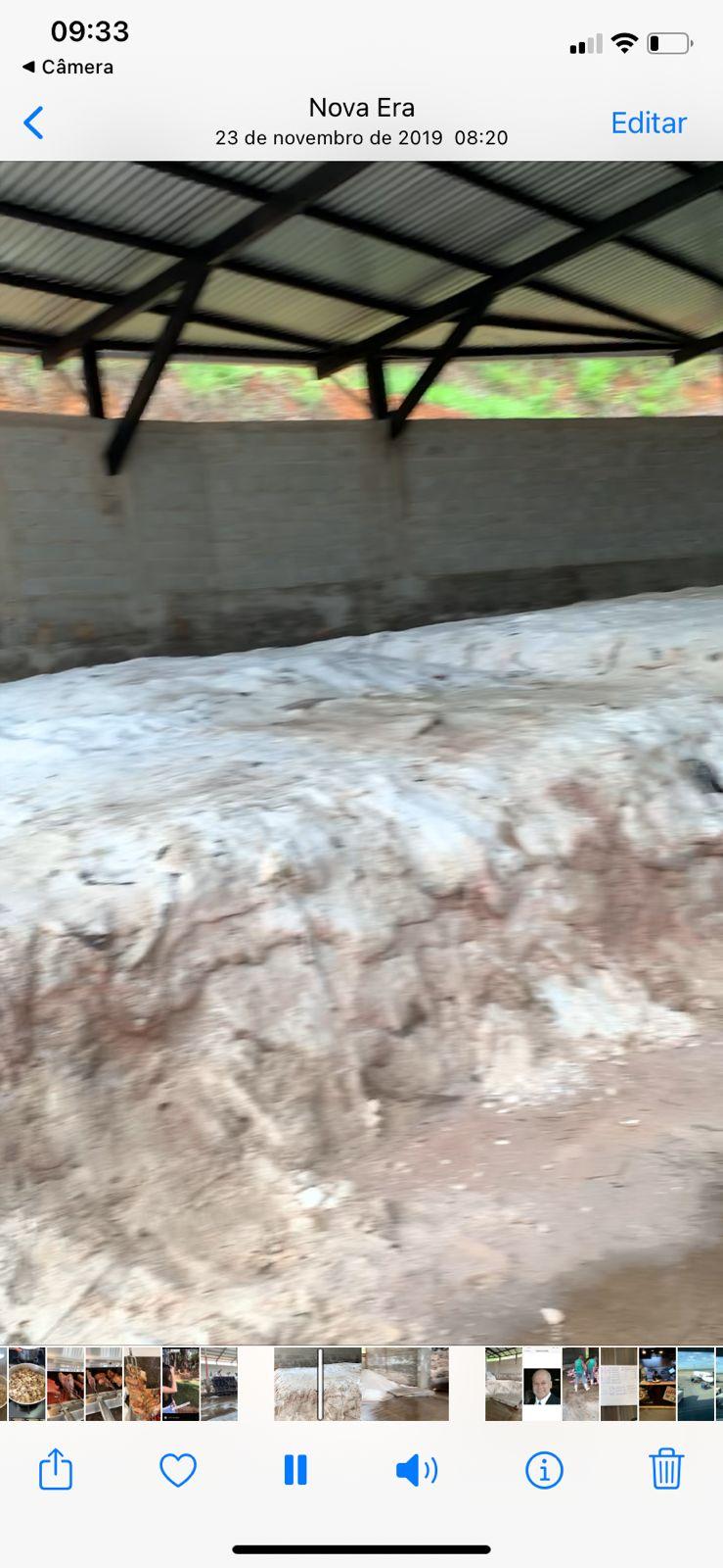 cow salted hide