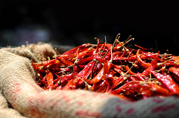 A Comprehensive Guide to Sourcing High-Quality Red Chilli: Top 7 Red Chilli Suppliers in China in June 2025
