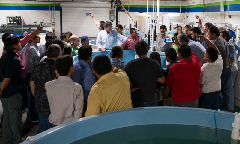 Discover Latin America and Caribbean Aquaculture: B2B Event Guide