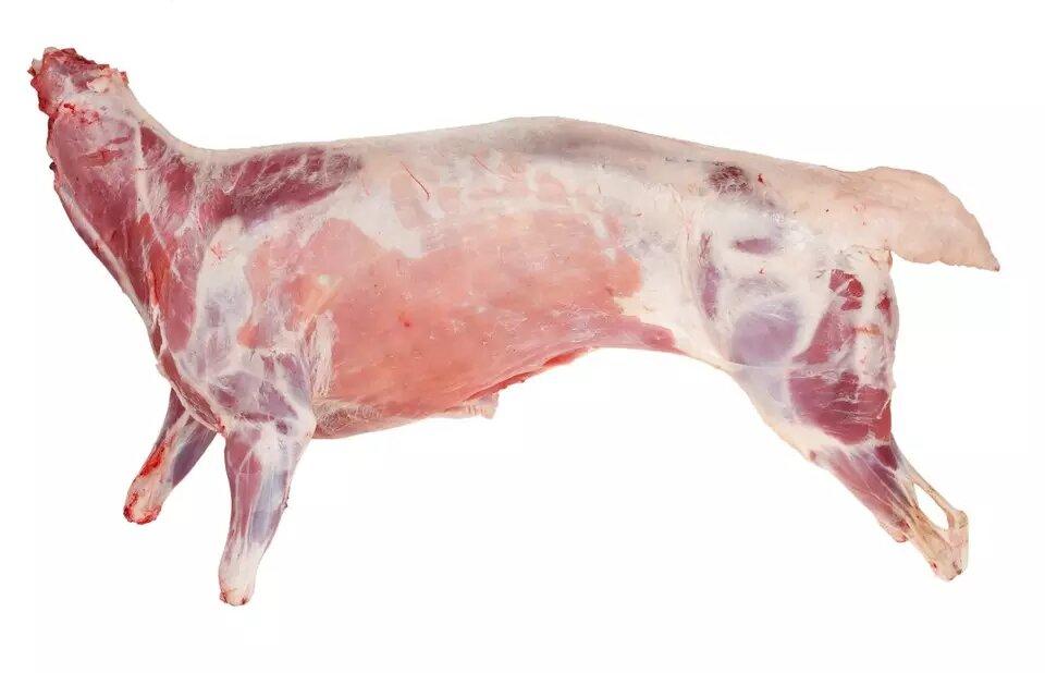 PREMIUM QUALITY HALAL FRESH CHILLED GOAT MUTTON MEAT/ LAMB MEAT CARCASS FOR SALE AT WHOLESALE PRICES IN BULK