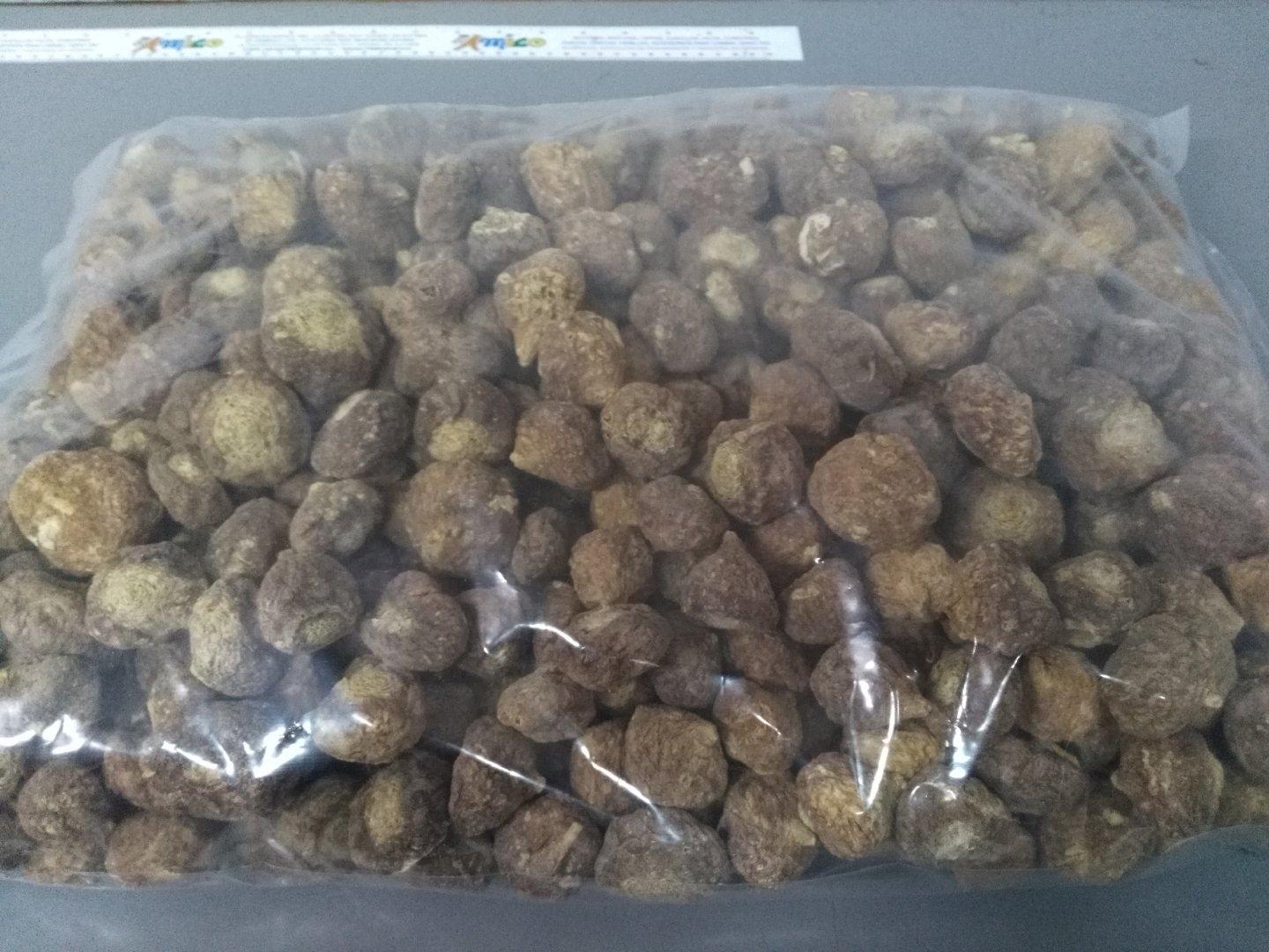 Processed Maca Powder