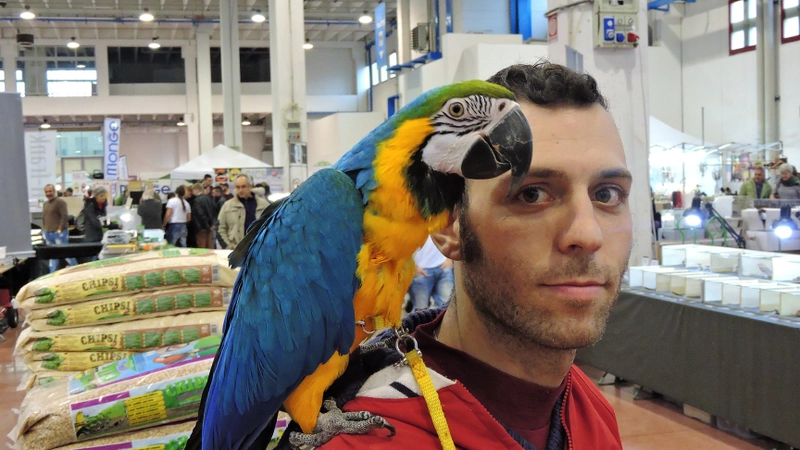 Why Attend ESOTIKA PET SHOW - MANTOVA? B2B Intro - 2