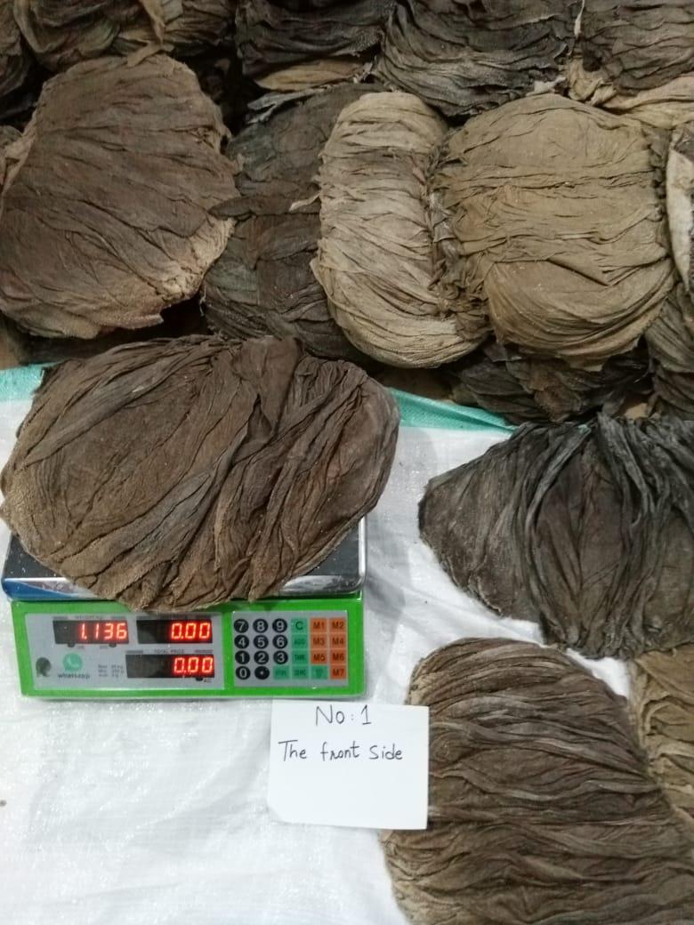 Tobacco Leaf 1