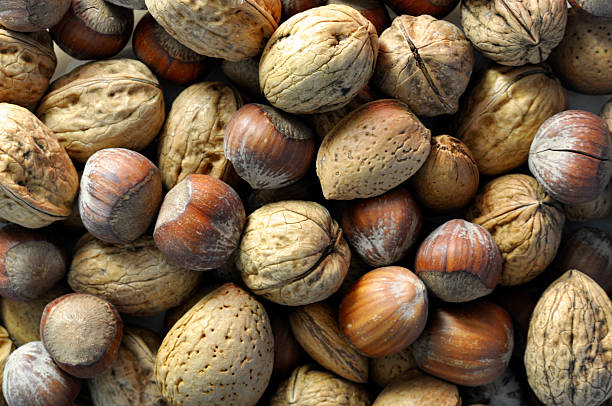 Top 7 Nut Suppliers in United Arab Emirates in Quarter 3 of 2025