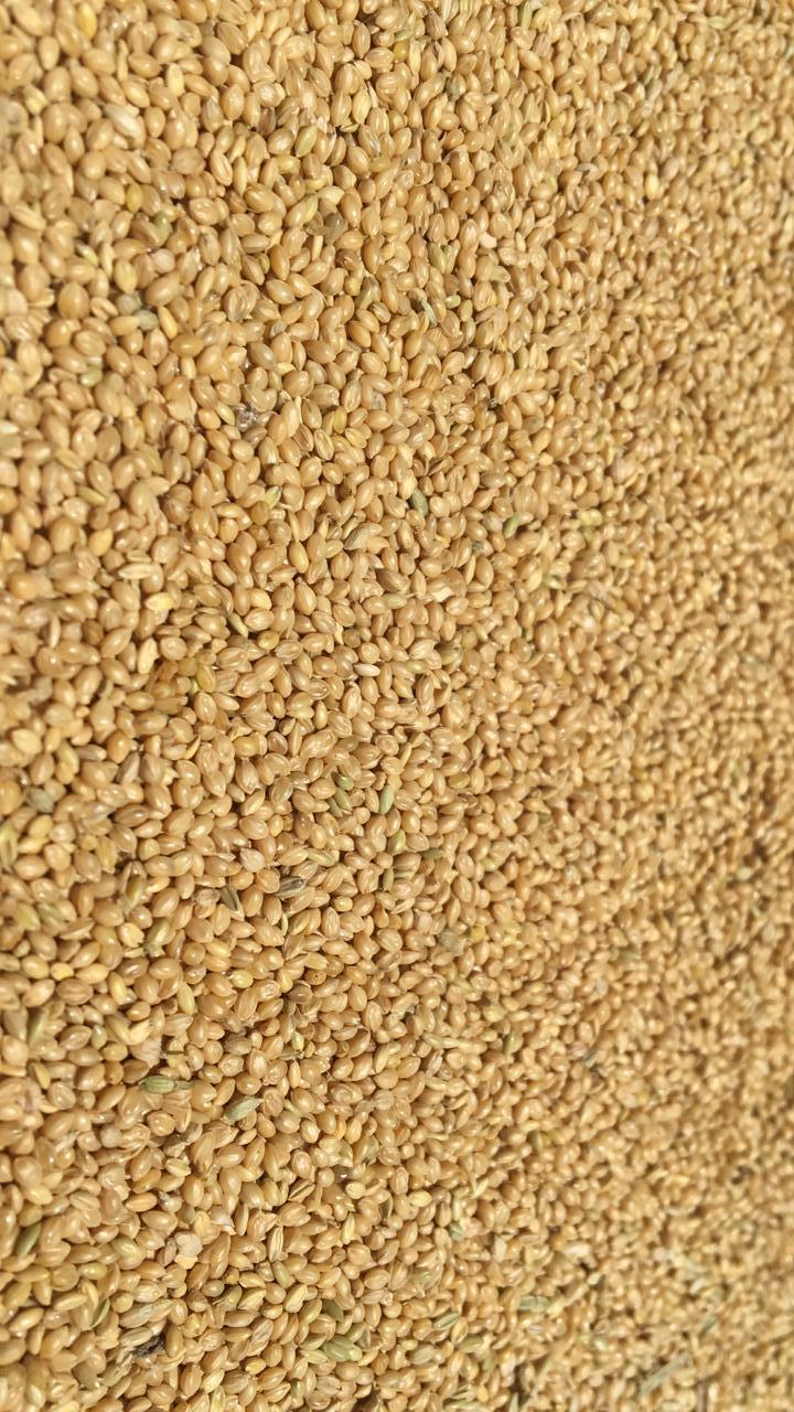 Yellow Millet Purity 99% Color Biscuit Color Cleaning Method Machine Cleaned Packaging Options 25kg, 50kg, 1mt, Bulk