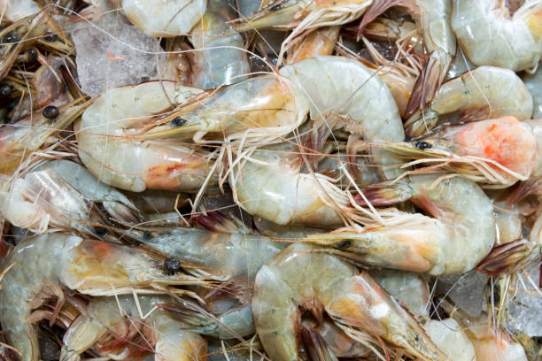 Your Expert Guide to Procuring Top-Tier Shrimp: Top 8 Shrimp Suppliers in Ukraine in Year 2025