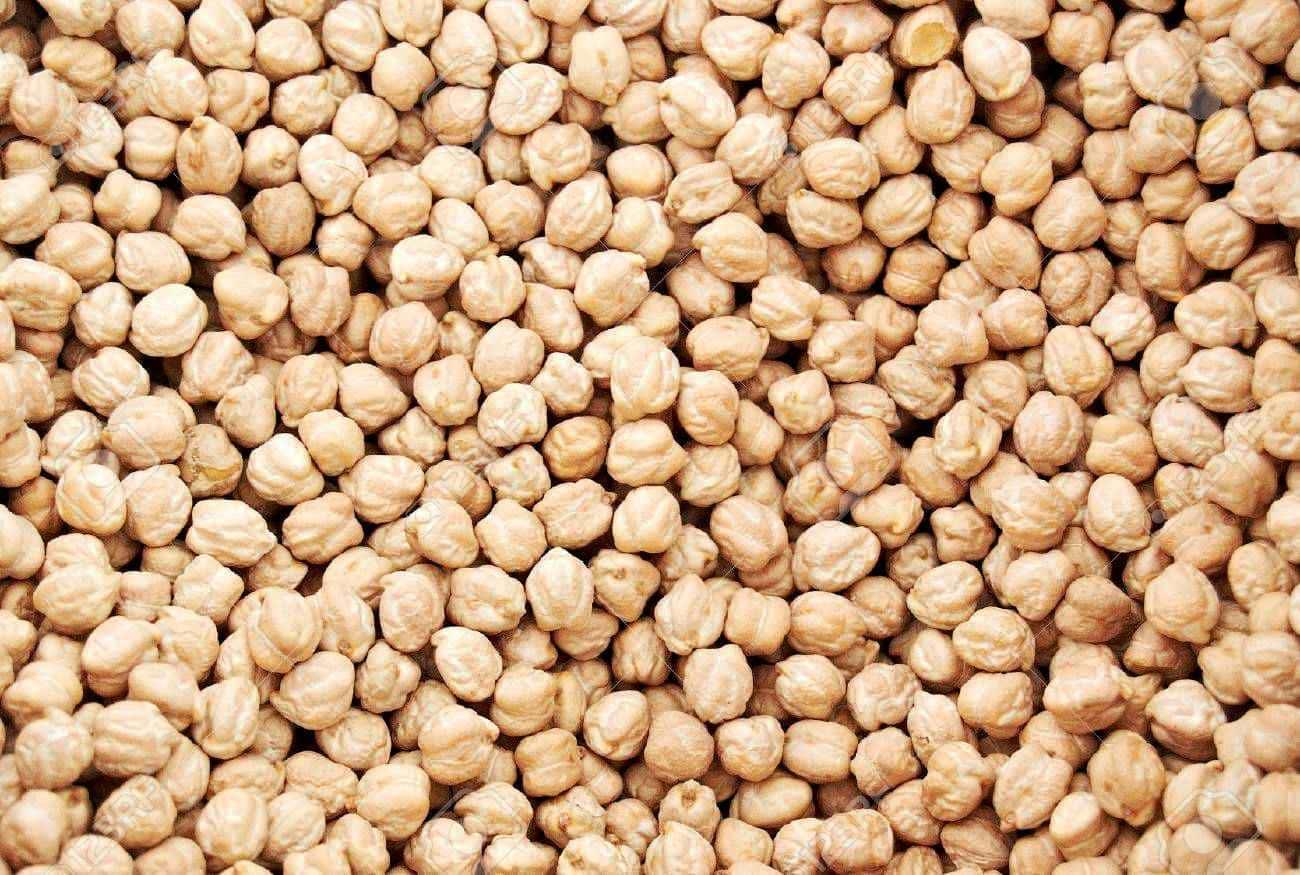 High-quality CHICKPEAS supplied by SATTER FOOD AND BRIDGES . Bulk wholesale pricing is $700 per MT. Inquiry for latest prices.