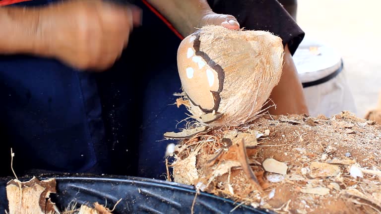 A Comprehensive Guide to Sourcing High-Quality Coconut Shell: Top 9 Coconut Shell Suppliers in Vietnam in August 2025